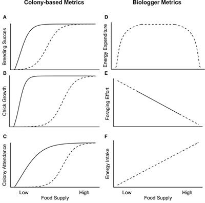 Tracking Cairns: Biologging Improves the Use of Seabirds as Sentinels of the Sea